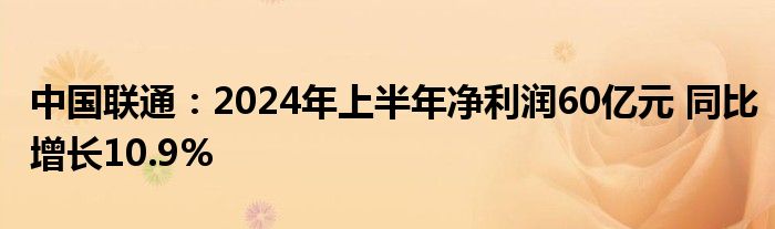 中国联通：2024年上半年净利润60亿元 同比增长10.9%