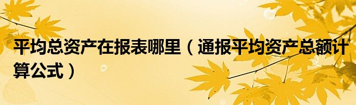 平均总资产在报表哪里（通报平均资产总额计算公式）