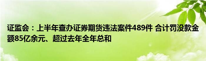 证监会：上半年查办证券期货违法案件489件 合计罚没款金额85亿余元、超过去年全年总和