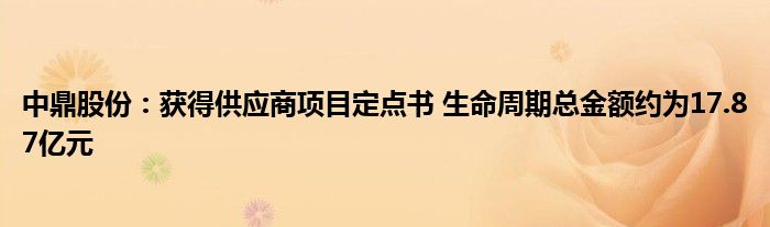 中鼎股份：获得供应商项目定点书 生命周期总金额约为17.87亿元