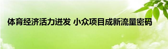 体育经济活力迸发 小众项目成新流量密码