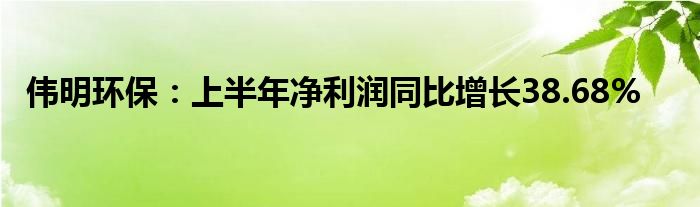 伟明环保：上半年净利润同比增长38.68%