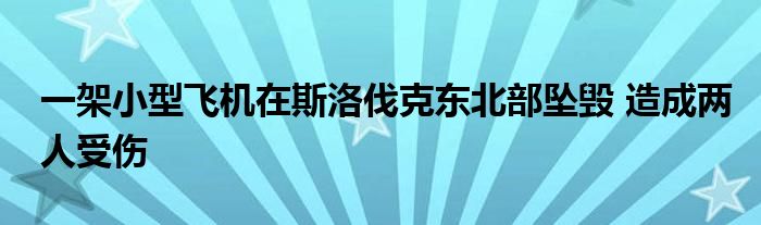 一架小型飞机在斯洛伐克东北部坠毁 造成两人受伤