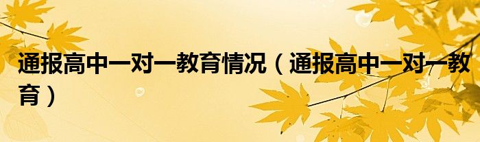 通报高中一对一教育情况（通报高中一对一教育）