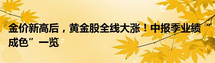 金价新高后，黄金股全线大涨！中报季业绩“成色”一览