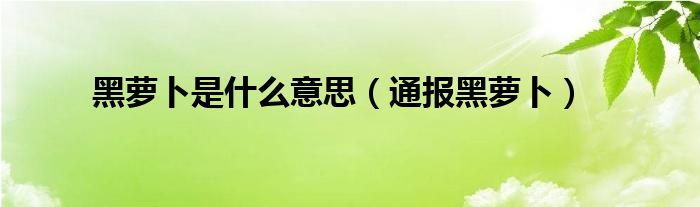 黑萝卜是什么意思（通报黑萝卜）