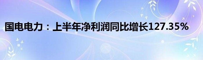 国电电力：上半年净利润同比增长127.35%