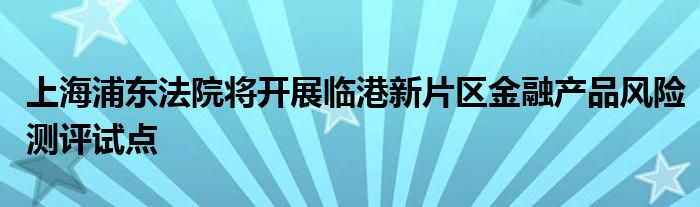 上海浦东法院将开展临港新片区金融产品风险测评试点