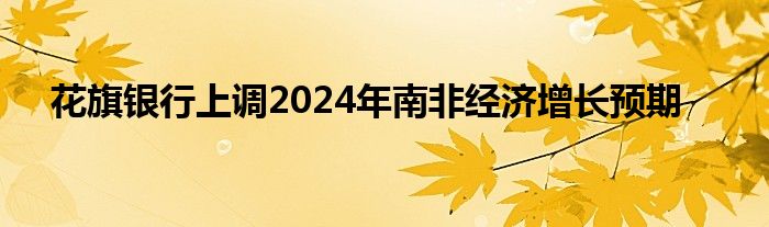 花旗银行上调2024年南非经济增长预期