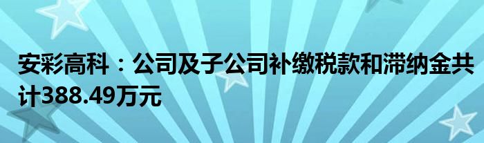 安彩高科：公司及子公司补缴税款和滞纳金共计388.49万元