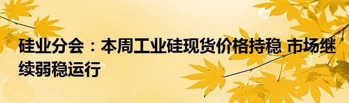 硅业分会：本周工业硅现货价格持稳 市场继续弱稳运行