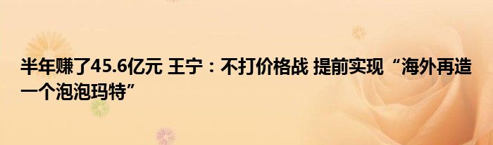 半年赚了45.6亿元 王宁：不打价格战 提前实现“海外再造一个泡泡玛特”