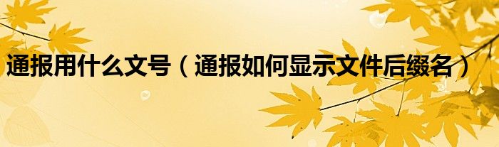 通报用什么文号（通报如何显示文件后缀名）