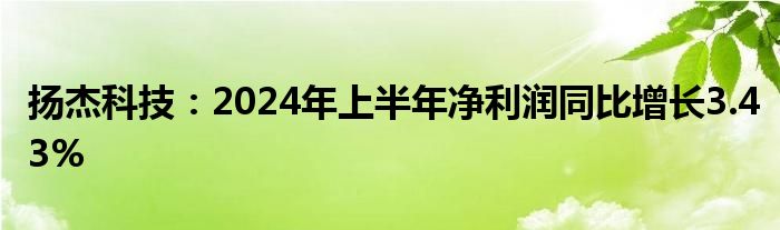 扬杰科技：2024年上半年净利润同比增长3.43%