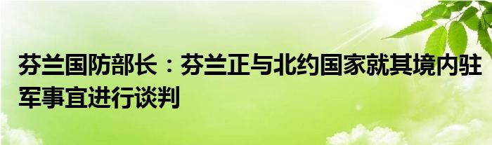 芬兰国防部长：芬兰正与北约国家就其境内驻军事宜进行谈判