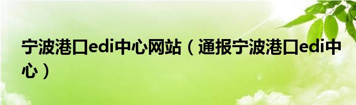 宁波港口edi中心网站（通报宁波港口edi中心）