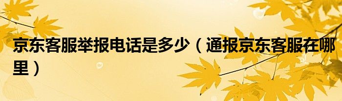 京东客服举报电话是多少（通报京东客服在哪里）