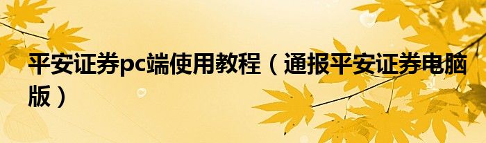 平安证券pc端使用教程（通报平安证券电脑版）