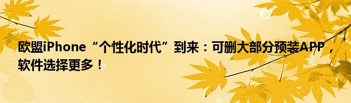 欧盟iPhone“个性化时代”到来：可删大部分预装APP，软件选择更多！