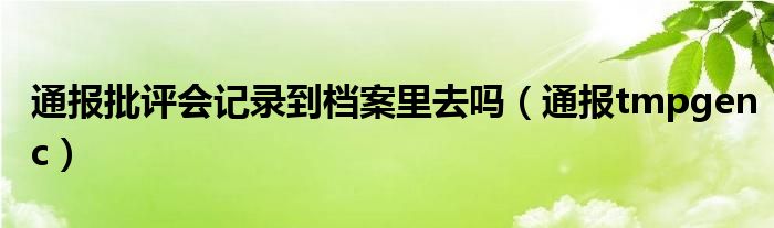 通报批评会记录到档案里去吗（通报tmpgenc）