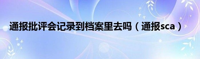 通报批评会记录到档案里去吗（通报sca）