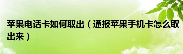 苹果电话卡如何取出（通报苹果手机卡怎么取出来）