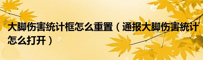 大脚伤害统计框怎么重置（通报大脚伤害统计怎么打开）