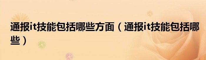 通报it技能包括哪些方面（通报it技能包括哪些）