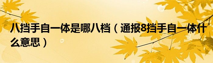 八挡手自一体是哪八档（通报8挡手自一体什么意思）