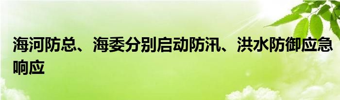 海河防总、海委分别启动防汛、洪水防御应急响应