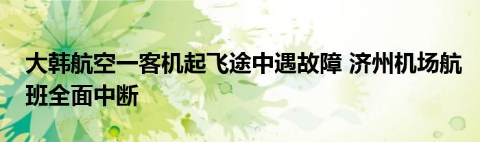 大韩航空一客机起飞途中遇故障 济州机场航班全面中断