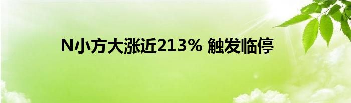 N小方大涨近213% 触发临停