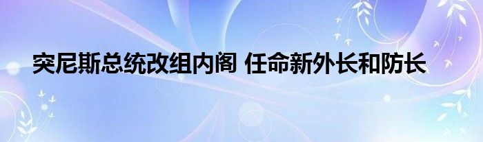 突尼斯总统改组内阁 任命新外长和防长