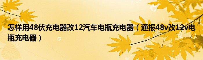 怎样用48伏充电器改12汽车电瓶充电器（通报48v改12v电瓶充电器）