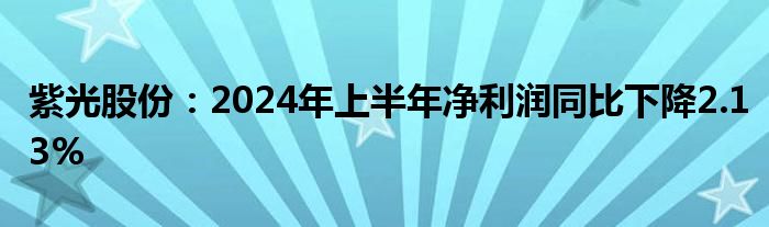 紫光股份：2024年上半年净利润同比下降2.13%