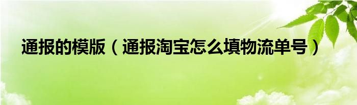 通报的模版（通报淘宝怎么填物流单号）