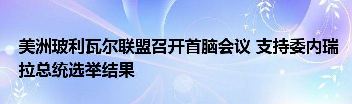 美洲玻利瓦尔联盟召开首脑会议 支持委内瑞拉总统选举结果