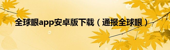 全球眼app安卓版下载（通报全球眼）