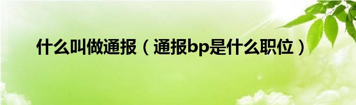 什么叫做通报（通报bp是什么职位）