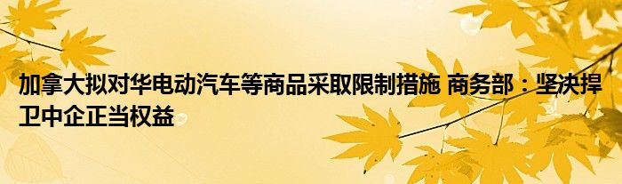 加拿大拟对华电动汽车等商品采取限制措施 商务部：坚决捍卫中企正当权益