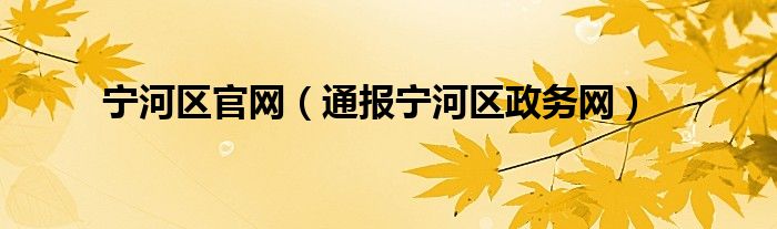 宁河区官网（通报宁河区政务网）