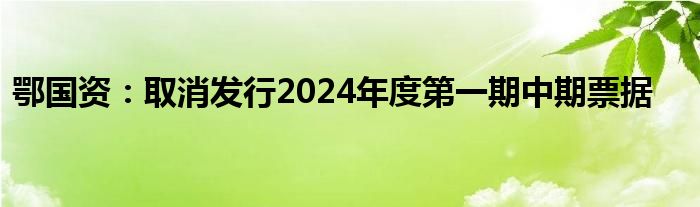 鄂国资：取消发行2024年度第一期中期票据