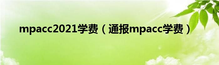 mpacc2021学费（通报mpacc学费）