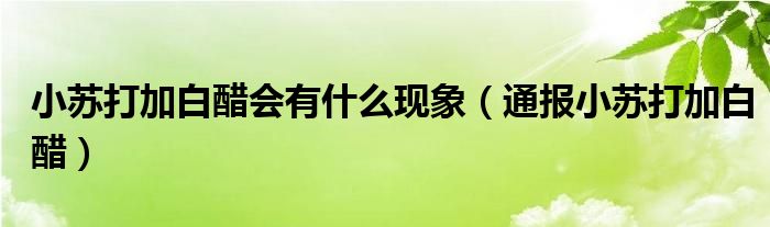 小苏打加白醋会有什么现象（通报小苏打加白醋）