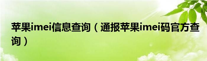 苹果imei信息查询（通报苹果imei码官方查询）