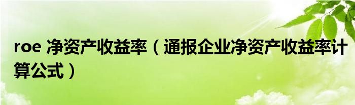 roe 净资产收益率（通报企业净资产收益率计算公式）