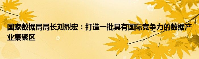 国家数据局局长刘烈宏：打造一批具有国际竞争力的数据产业集聚区