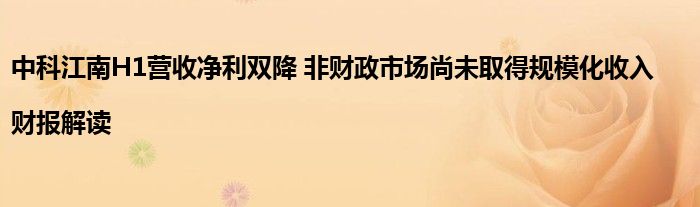 中科江南H1营收净利双降 非财政市场尚未取得规模化收入|财报解读