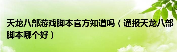 天龙八部游戏脚本官方知道吗（通报天龙八部脚本哪个好）