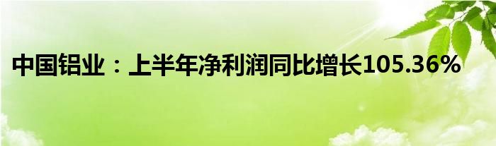 中国铝业：上半年净利润同比增长105.36%